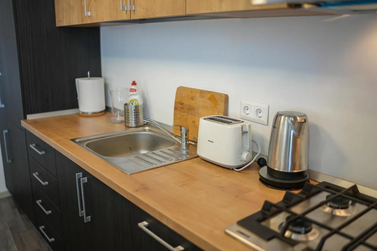 Penthouse With Huge Rooftop & Amazing City View Bukareszt