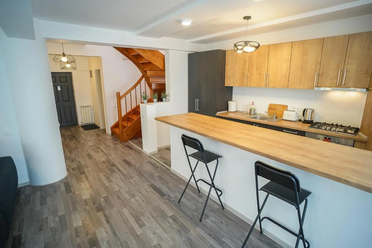 Penthouse With Huge Rooftop & Amazing City View Bukareszt