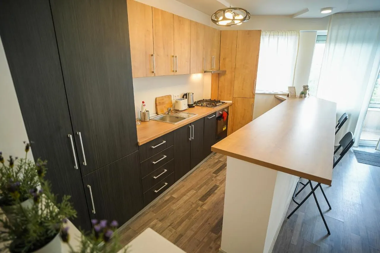 Penthouse With Huge Rooftop & Amazing City View Bukareszt